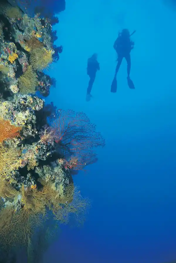 GIRLS CAN DO Anything