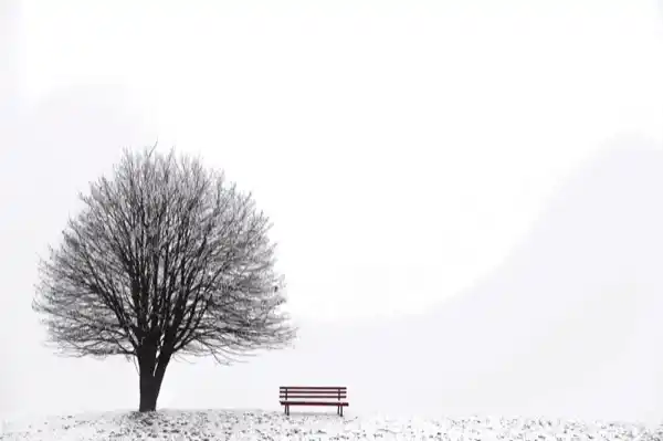 Grief - From the mouth of an adult orphan
