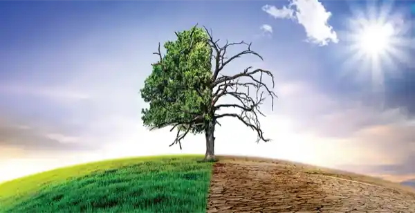 Mother Earth is Feeling the Change